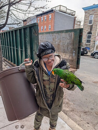 Spring from Vincent St bringing a load from her block