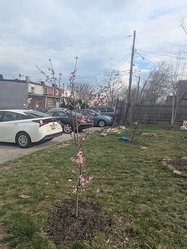 PXL_20250328_205923935