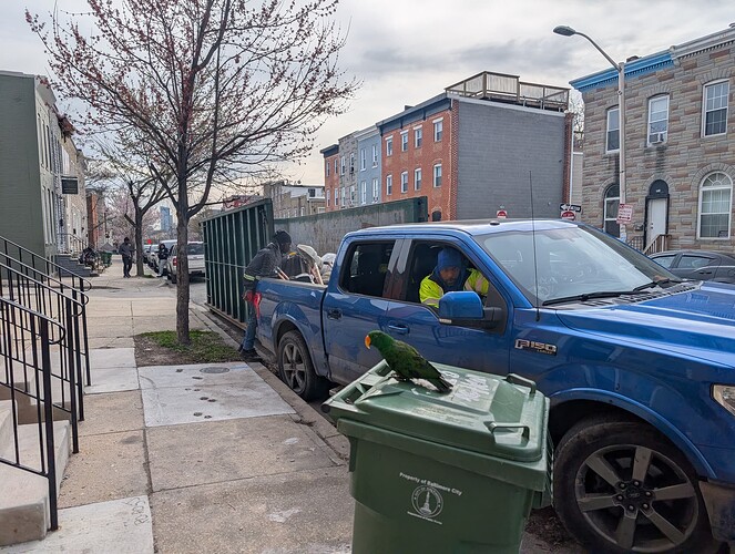 First truck from Clean Corps